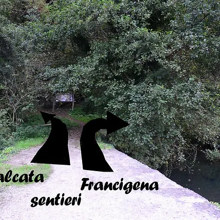 Casa vacanze Il Girasole